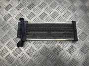 Elektrischer Schulterschulterkühler AUDI A4 Avant (8ED, B7) 2.0 TDI 983682B