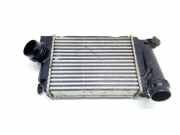 Ladeluftkühler Renault Kadjar (HA, HL) 144614EA1B