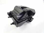 Luftfilterkasten NISSAN JUKE (F15) 1.2 DIG-T 1KT1A