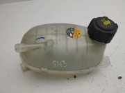AUSGLEICHSBEHÄLTER KÜHLWASSER NISSAN JUKE (F16) 1.6 Hybrid 217102572R