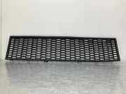 Gitter vorne unten BMW 5 (F10) 550 i xDrive 19017411