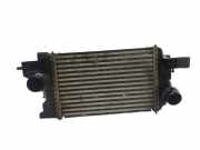 Ladeluftkühler Opel Meriva B () 13283253