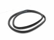 Türdichtung Citroen C4 II (B7)