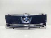 Kühlergrill oben Peugeot Expert II Tepee (VF) 1497644077