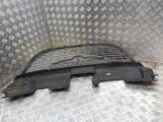 Ziergitter Chrysler Voyager III (GS) 04857410AB