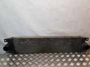 Ladeluftkühler Opel Movano Kipper (X70) 874806M