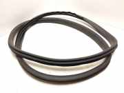 Türgummi links vorne Volvo S60 I (384)