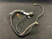 Kabel Tür Nissan Qashqai (J10) 24127JD00D