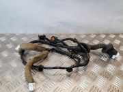 Kabel Tür Nissan Juke (F15) 241271KK0A