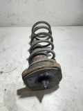 Schraubenfeder hinten links VOLVO S60 II D4