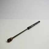 Heckklappe Gasdruckfeder rechts AUDI A6 Avant (4F5, C6) 2.0 TDI 4F9827552D