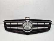 Vorderer oberer Gitter MERCEDES-BENZ C (W204) C 250 CGI (204.047) A2048801923