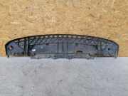 Stoßstangenabdeckung vorne Renault Kangoo II Rapid (FW0) 8200501560