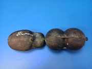 Vakuumbehälter MERCEDES-BENZ E (W124) E 500 (124.036) C126