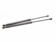 Heckklappe Gasdruckfeder rechts RENAULT MEGANE IV (B9A/M_) 1.5 dCi 90 (B9A1) 904511213R