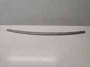 Gitter vorne unten RENAULT GRAND SCÉNIC II (JM0/1_) 1.6 P0009734