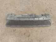 Gitter vorne unten MERCEDES-BENZ A (W169) A 160 CDI (169.006, 169.306) A 169 885 00 23 A1698850023