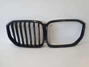 Vorderer oberer Gitter BMW X5 (G05) xDrive 40 i 2467262