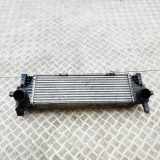 Ladeluftkühler BMW X5 (G05) xDrive 30 d Mild-Hybrid 8584127