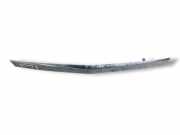 Kennzeichenbeleuchtung OPEL ASTRA H (L48) 1.6 Turbo 13223917