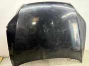 Motorhaube AUDI Q7 (4L) 3.0 TDI quattro