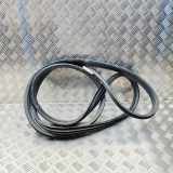 Türdichtungsgummi vorne links NISSAN NV400 Flatbed dCi 145 [FWD] 76802-00Q0J