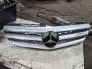 Gitter Grill vorne links MERCEDES-BENZ R (W251, V251) R 350 4-matic (251.065, 251.165) A2518880223