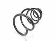 Fahrwerksfeder vorne rechts TOYOTA RAV 4 III (_A3_) 2.2 D 4WD (ALA30_)