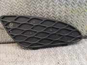 Gitter Grill vorne rechts MERCEDES-BENZ E T-Model (S211) E 320 T CDI (211.226) A2118850253 2118850253