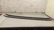 Dachreling links BMW X5 (G05) xDrive 30 d Mild-Hydrid
