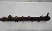 KRAFTSTOFFVERTEILER EINSPRITZLEISTE VERTEILERROHR OPEL VIVARO Furgon (F7) 1.9 DI 0445214065