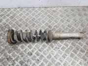 Stoßdämpfer hinten links BMW 5 (E39) 530 d 1093646