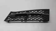 Gitter vorne unten BMW 5 (F10) 535 i xDrive 51117200697