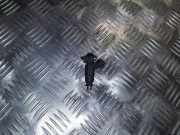 Einspritzdüse AUDI A8 D3 (4E2, 4E8) 4.2 quattro 0280156180