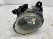 Nebelscheinwerfer links vorne VW Passat B6 CC (357) 8T0941700