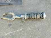 Stoßdämpfer vorne links