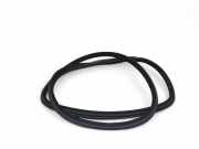 Türdichtungsgummi hinten links BMW X6 (F16, F86) xDrive 35 i 7317822
