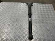 Stoßdämpfer hinten rechts AUDI A6 Avant (4G5, C7, 4GD) 2.0 TDI 4G5513035C