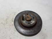 Bremsscheibe hinten rechts RENAULT SCÉNIC II (JM0/1_) 1.9 dCi (JM15) 7701207898