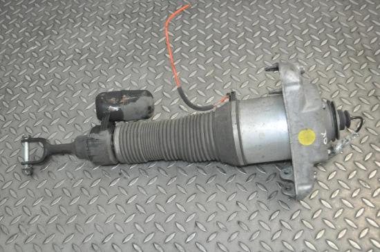 Front left pneumo shock absorber Bild Front left pneumo shock absorber