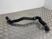 Schlauch Kühlung RENAULT LAGUNA III Grandtour (KT0/1) 2.0 dCi (KT01, KT08, KT0K, KT0J, KT1A, KT1D) 215010012N