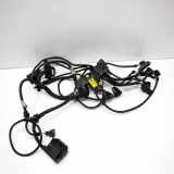 Motor Kabelbaum BMW 6 Gran Coupe (F06) 650 i 7621080 7621079