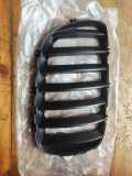 Gitter Grill vorne rechts BMW X5 (E53) 4.4 i 10627110