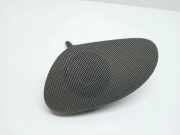 Türlautsprecher vorne links