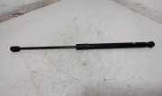 Heckklappe Gasdruckfeder rechts RENAULT MEGANE III Hatchback (BZ0_) 1.5 dCi (BZ0C) 844300009R