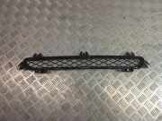 Gitter vorne unten BMW X3 (F25) xDrive 35 i 7210466
