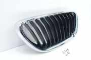 Kühlergrill unten BMW 2er Coupe (F22, F87) 7295522