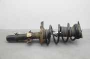 Stoßdämpfersatz Vorderachse Nissan Qashqai II (J11) 543034EA3A