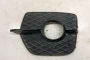 Blende Nebelscheinwerfer BMW X6 (E71, E72) 7188383