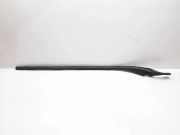 Zierleiste Windschutzscheibe Frontscheibe VOLVO S60 I 2.4 D5 31335864